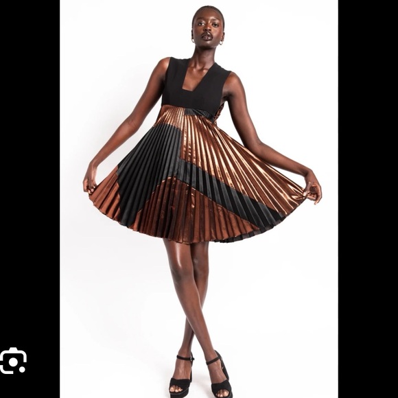 Stella McCartney Dresses & Skirts - STELLA MCCARTNEY Luella Pleated Dress